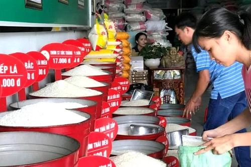 Giữ niềm tin cho gạo Việt