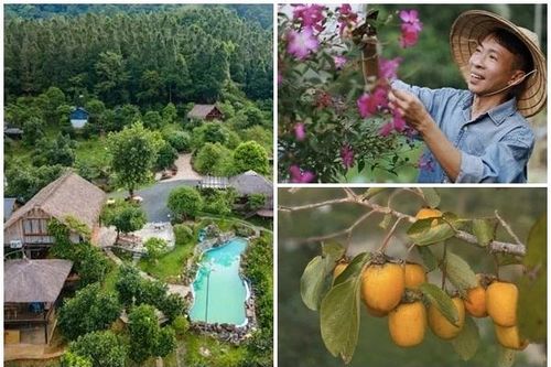 Toàn cảnh nhà vườn 10.000m2 ở Hà Nội của 'ông hoàng nhạc đỏ'