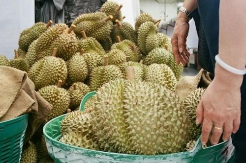 'Vũ khí mới' trong cuộc đua xuất khẩu nông sản tại Đông Nam Á