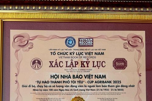 Giải đi bộ - chạy bộ 'Tự hào Thành phố tôi yêu' có 1.000 người làm báo tham gia xác lập kỷ lục Việt Nam