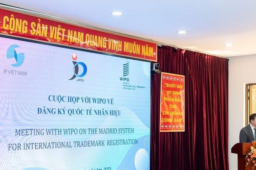 Sao Thái Dương được WIPO lựa chọn phát biểu tại Hội thảo Quốc tế về phát triển thương hiệu toàn cầu
