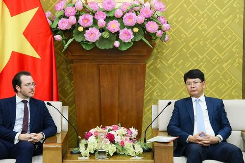 Đẩy mạnh mối quan hệ hợp tác tốt đẹp, hiệu quả giữa Bộ Tư pháp và Viện KAS