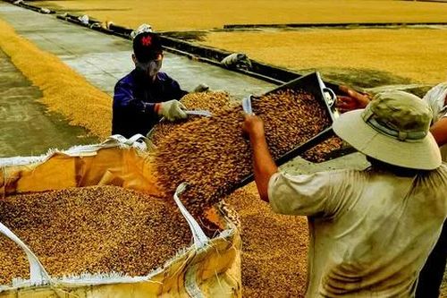 Nỗi lo siêu thị, chợ mạng