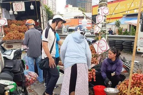 Mùa vải chín