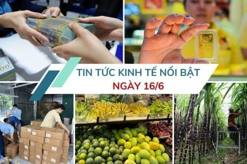 Tin tức kinh tế ngày 16/6: Xử lý hơn 3.100 vụ hàng giả, buôn lậu trong một tháng