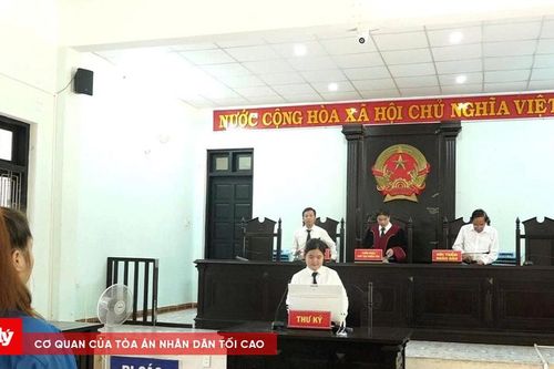 Lĩnh án vì mang theo ma túy khi đi công việc