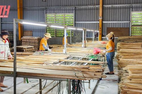 Phát triển bền vững, nâng tầm giá trị tre, luồng