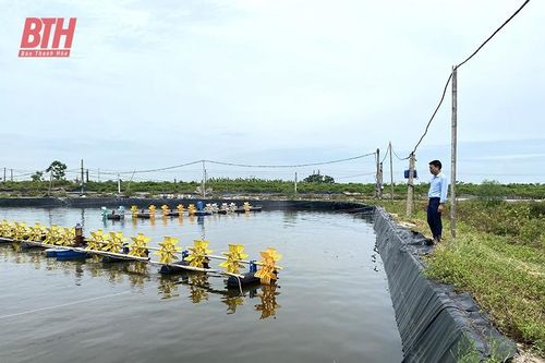 Bảo đảm an toàn trong nuôi trồng thủy sản mùa nắng nóng