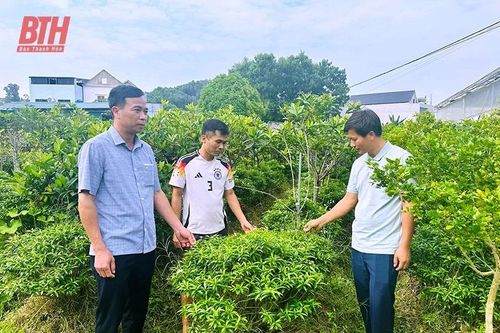 Phát huy vai trò Hội Nông dân trong xây dựng nông thôn mới