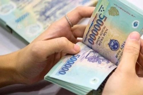 Tòa phúc thẩm xét xử vụ chuyến bay giải cứu (giai đoạn 2) nhận định: Doanh nghiệp là nạn nhân của cơ chế 'xin cho'