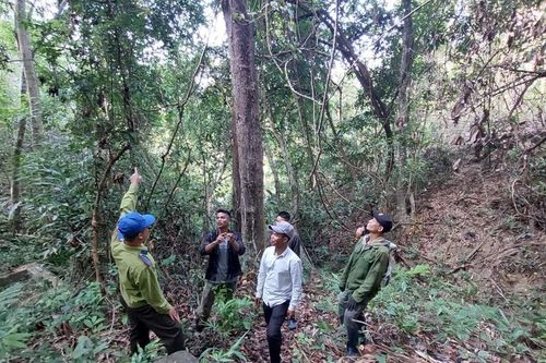 Cộng đồng chung tay bảo vệ rừng ở Vườn Quốc gia Kon Ka Kinh
