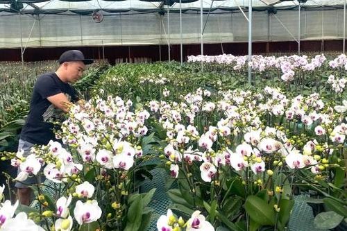 Chủ động nguồn nước tưới cây trồng