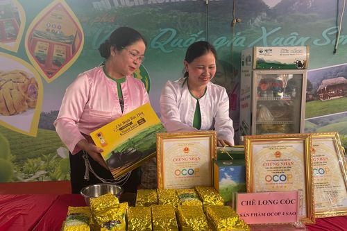 Hiệu quả từ xây dựng chuỗi liên kết sản xuất chè xanh