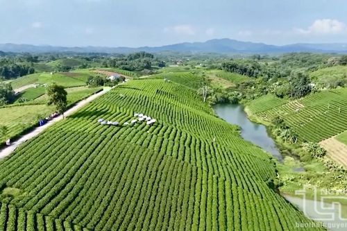 Đại Từ được công nhận đạt chuẩn huyện nông thôn mới nâng cao