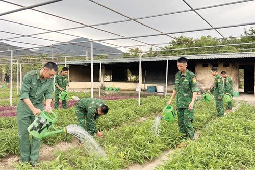 Điển hình trong huấn luyện
