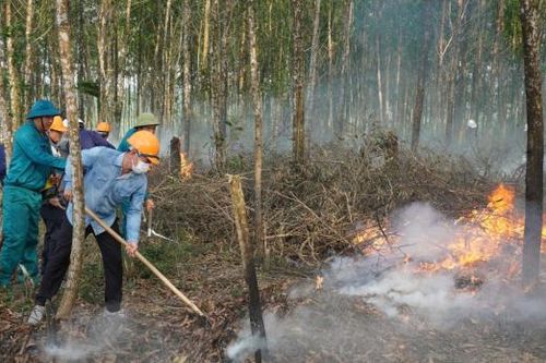 Giữ rừng giữa tâm gió Lào