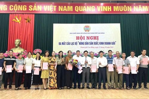 Hội Nông dân Thành phố thực hiện tốt các phong trào thi đua
