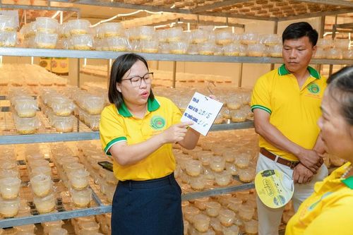 Hỗ trợ nông dân xây dựng thương hiệu, chuyển đổi số:Hướng đi tất yếu để phát triển bền vững