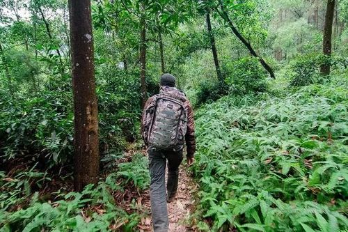 Nam thanh niên leo núi Hàm Lợn một mình rồi bị kiệt sức, phải gọi người ứng cứu