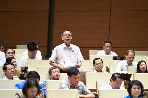 ĐBQH: 'Tiền trong nhà có sẵn mà xài chưa được thì rất khó mời người khác đưa tiền vào'