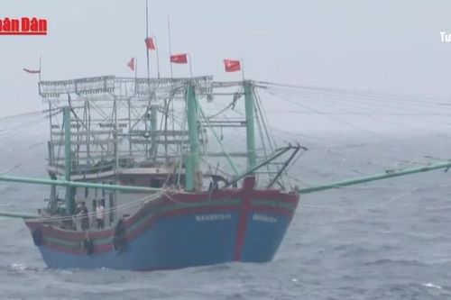 Biển Đông có thể đón 7 cơn bão trong 3 tháng tới