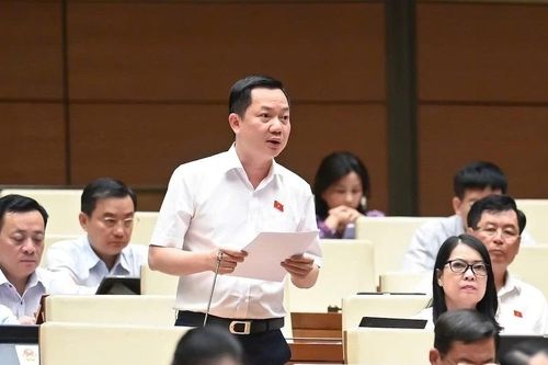 Cắt giảm thủ tục hành chính cần đi vào thực chất