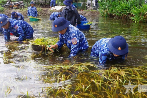 Chủ động giúp dân khắc phục hậu quả thiên tai