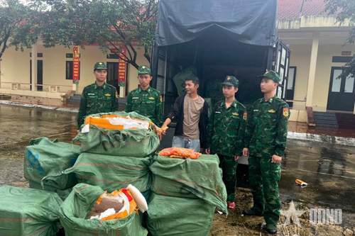 Bộ đội Biên phòng Quảng Ninh: Bắt vụ vận chuyển hơn 1 tấn trứng gà non không rõ nguồn gốc