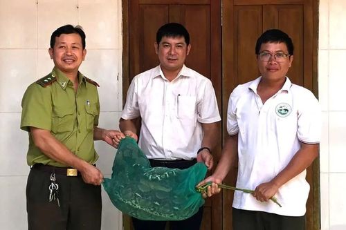 Phát hiện trăn quý hiếm nặng 21kg bò vào nhà dân