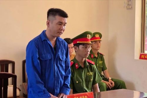 'Cò lúa' chiếm đoạt hơn nửa tỷ đồng, lãnh án 5 năm tù