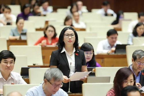 ĐBQH 'bắt mạch' một số lô hàng nông sản không xuất khẩu được