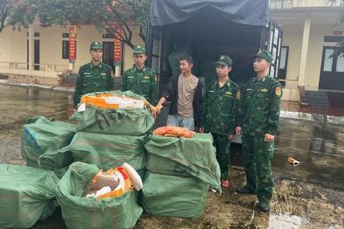 Bắt giữ hơn 1,1 tấn trứng gà non không rõ nguồn gốc tại Quảng Ninh