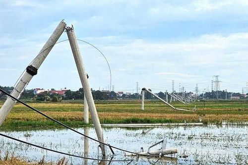 Hàng loạt cột điện ở Thanh Hóa gãy đổ ngổn ngang sau mưa giông