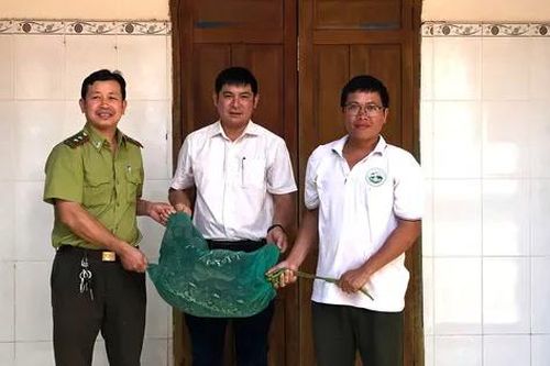 Trăn gấm quý hiếm bò vào nhà dân bắt gà trong đêm