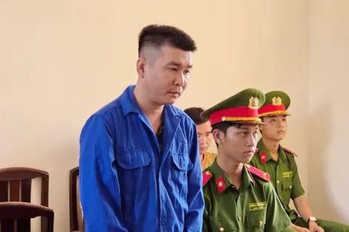 Chiếm đoạt hơn nửa tỷ đồng tiền đặt cọc, một 'cò' lúa lĩnh 5 năm tù