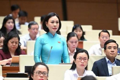 Đại biểu Quốc hội hiến kế thúc đẩy tăng trưởng, xây dựng nền kinh tế tự chủ, tự cường
