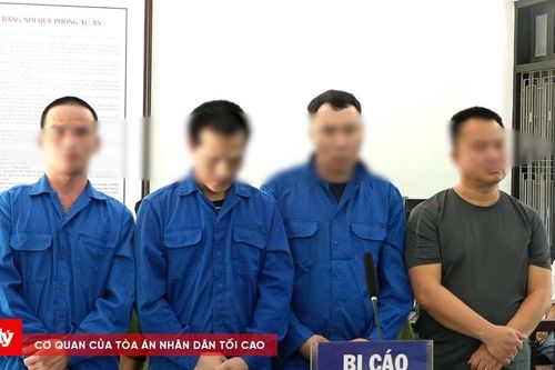 Lĩnh án vì chở người nhập cảnh trái phép