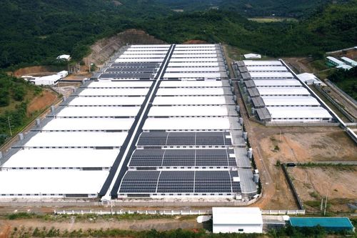 Thanh Hóa chỉ đạo xử lý vụ trang trại lợn phát tán mùi hôi thối
