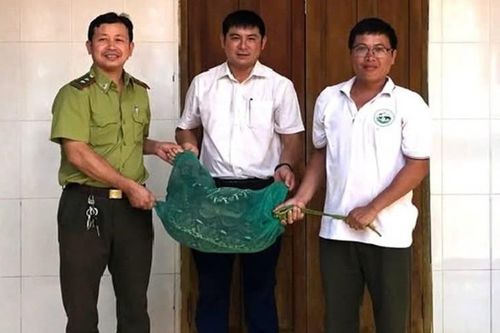Trăn gấm 'khủng' bò vào bắt gà, chủ nhà hô hoán người dân vây bắt