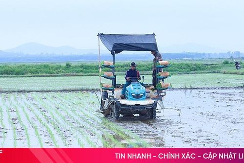 Thời vụ chưa đảm bảo, sản xuất hè thu tiềm ẩn bất lợi