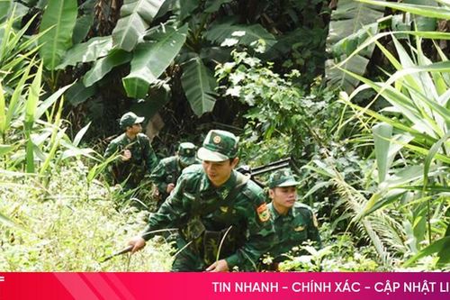 Những 'ngôi sao xanh' trên đỉnh Giăng Màn