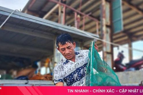 Ngư dân Xuân Hội không còn mặn mà bám biển
