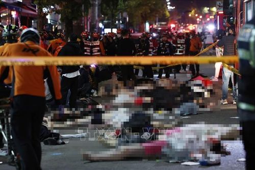 Hàn Quốc: Điều tra toàn diện về thảm họa giẫm đạp Itaewon