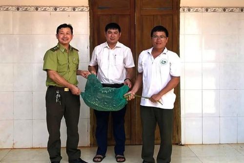 Phát hiện trăn gấm nặng 21kg vào nhà, người dân vây bắt giao cơ quan chức năng
