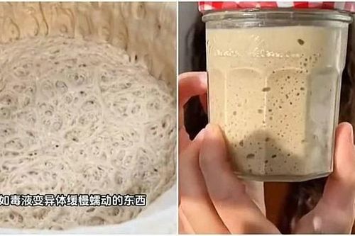 Nuôi men làm thú cưng- Trend mới của GenZ Trung Quốc