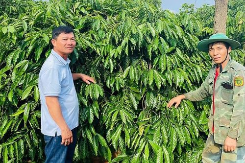 Điểm sáng trong phong trào học tập và làm theo gương Bác
