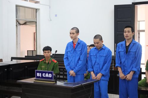 Vào tù vì tổ chức sử dụng ma túy