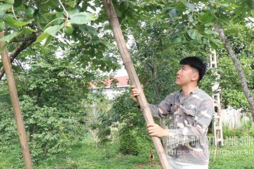 Bảo vệ cây trồng từ gốc
