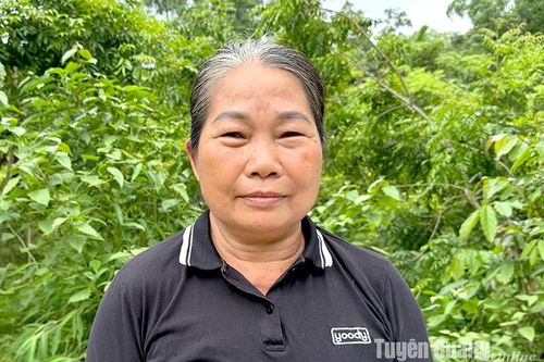 Tiên phong hiến đất làm đường