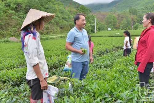 Người 'thuyền trưởng' của bản Mông